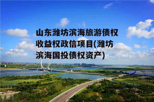 山东潍坊滨海旅游债权收益权政信项目(潍坊滨海国投债权资产)