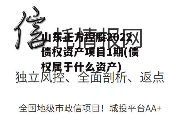 山东正方控股2022债权资产项目1期(债权属于什么资产)