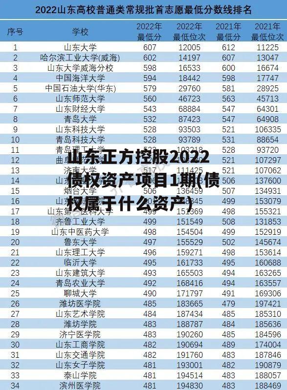 山东正方控股2022债权资产项目1期(债权属于什么资产)