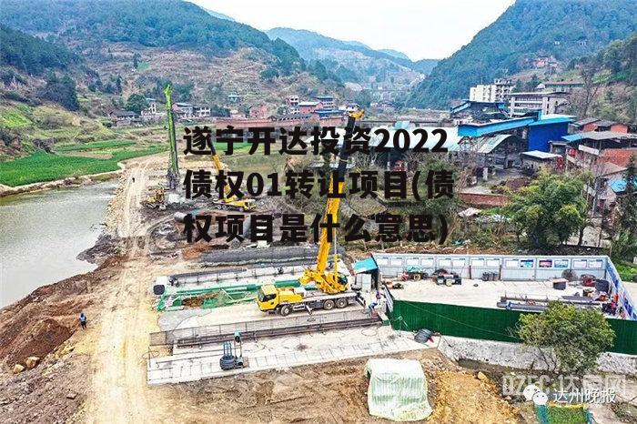 遂宁开达投资2022债权01转让项目(债权项目是什么意思)