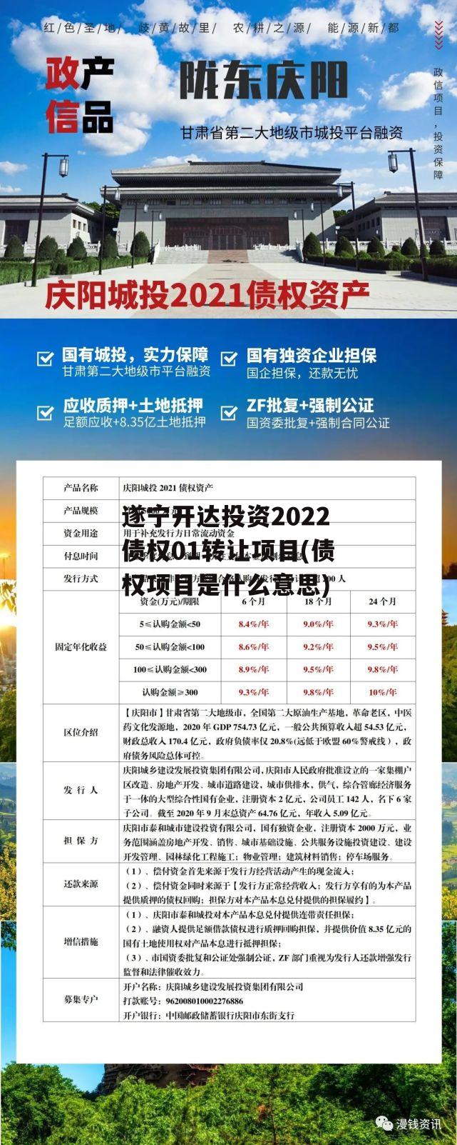 遂宁开达投资2022债权01转让项目(债权项目是什么意思)