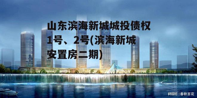 山东滨海新城城投债权1号、2号(滨海新城安置房二期)