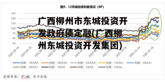 广西柳州市东城投资开发政府债定融(广西柳州东城投资开发集团)