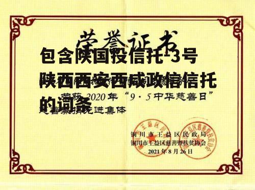 包含陕国投信托-3号陕西西安西咸政信信托的词条