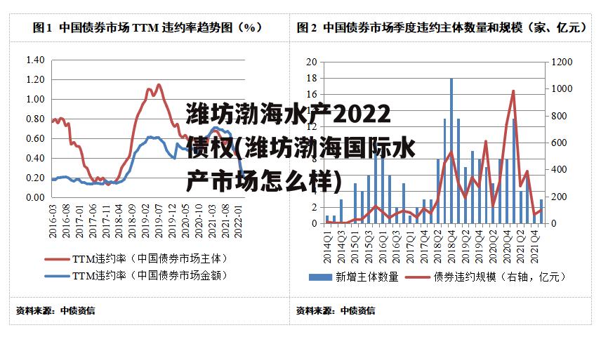 潍坊渤海水产2022债权(潍坊渤海国际水产市场怎么样)