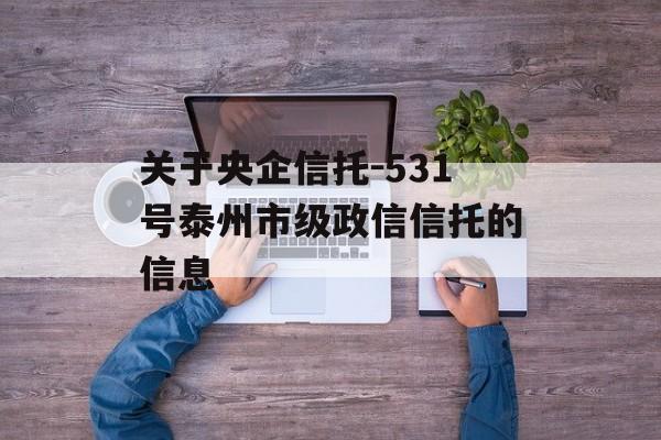 关于央企信托-531号泰州市级政信信托的信息