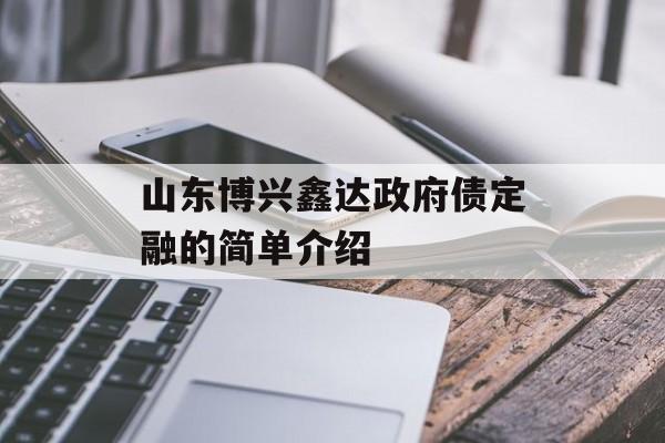 山东博兴鑫达政府债定融的简单介绍