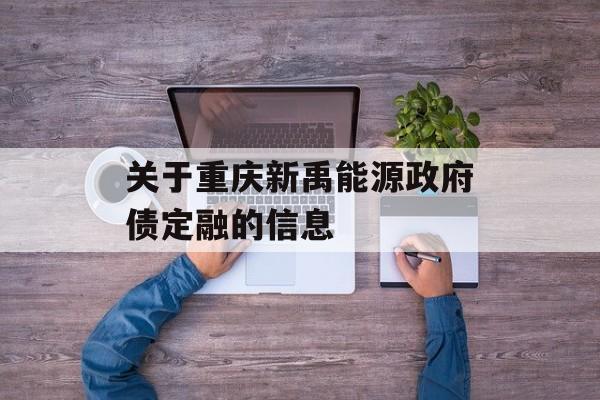 关于重庆新禹能源政府债定融的信息