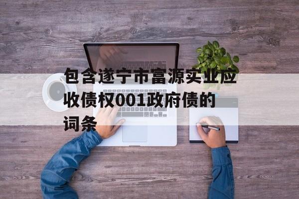 包含遂宁市富源实业应收债权001政府债的词条