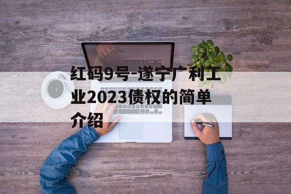 红码9号-遂宁广利工业2023债权的简单介绍