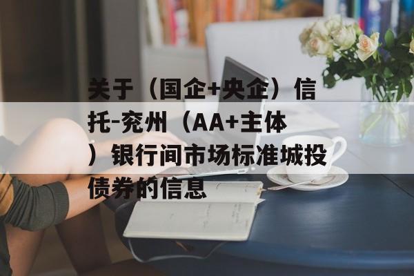 关于（国企+央企）信托-兖州（AA+主体）银行间市场标准城投债券的信息