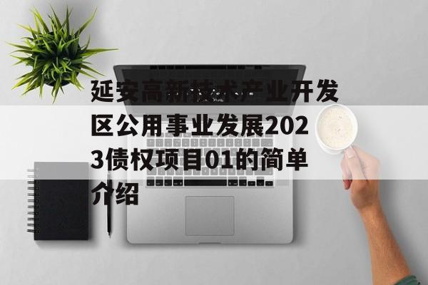 延安高新技术产业开发区公用事业发展2023债权项目01的简单介绍