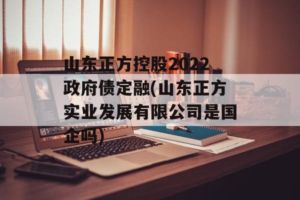 山东正方控股2022政府债定融(山东正方实业发展有限公司是国企吗)