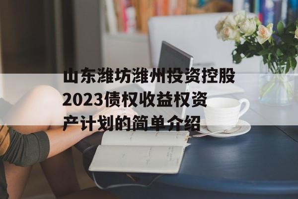 山东潍坊潍州投资控股2023债权收益权资产计划的简单介绍