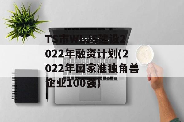 TS市WLJS建设2022年融资计划(2022年国家准独角兽企业100强)