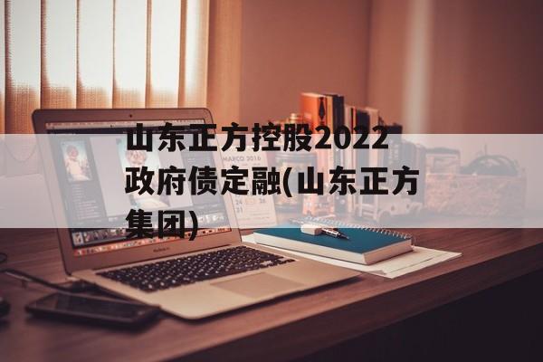 山东正方控股2022政府债定融(山东正方集团)