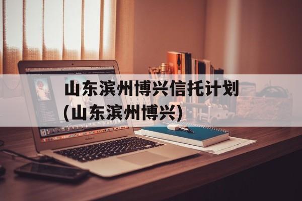 山东滨州博兴信托计划(山东滨州博兴)