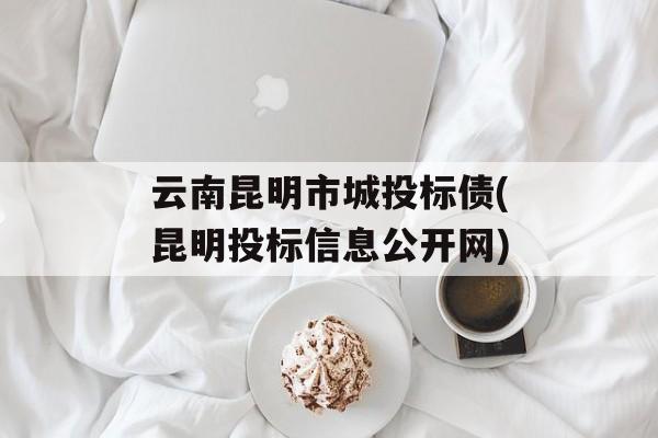 云南昆明市城投标债(昆明投标信息公开网)