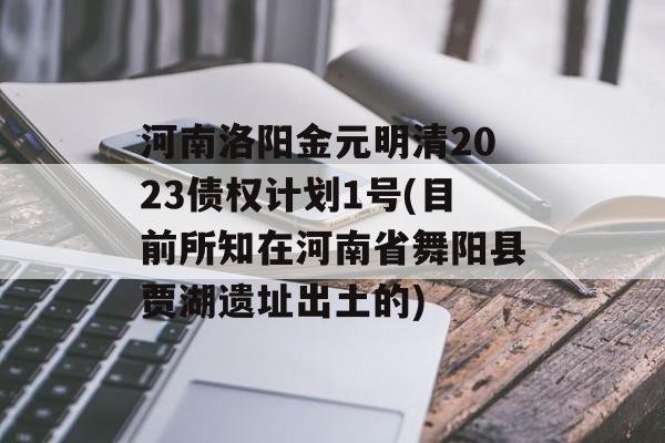 河南洛阳金元明清2023债权计划1号(目前所知在河南省舞阳县贾湖遗址出土的)