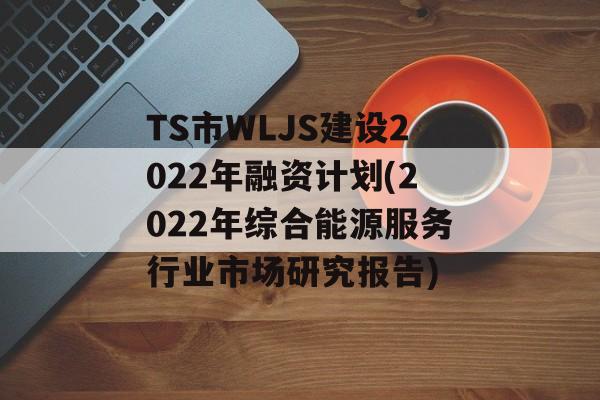 TS市WLJS建设2022年融资计划(2022年综合能源服务行业市场研究报告)