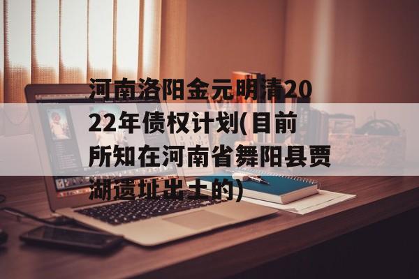 河南洛阳金元明清2022年债权计划(目前所知在河南省舞阳县贾湖遗址出土的)