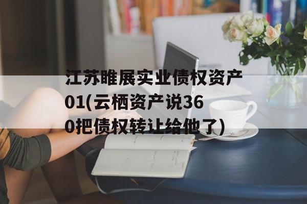 江苏睢展实业债权资产01(云栖资产说360把债权转让给他了)