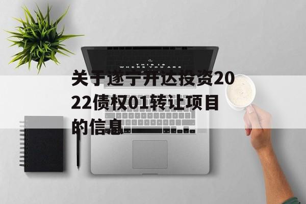 关于遂宁开达投资2022债权01转让项目的信息