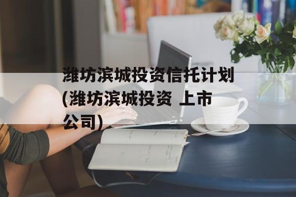 潍坊滨城投资信托计划(潍坊滨城投资 上市公司)