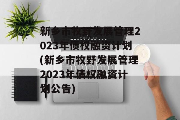 新乡市牧野发展管理2023年债权融资计划(新乡市牧野发展管理2023年债权融资计划公告)