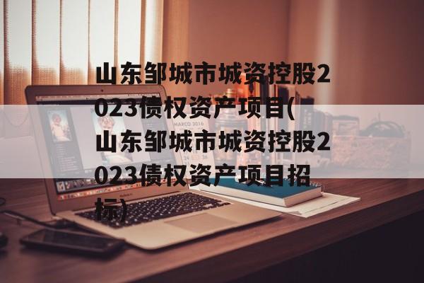 山东邹城市城资控股2023债权资产项目(山东邹城市城资控股2023债权资产项目招标)