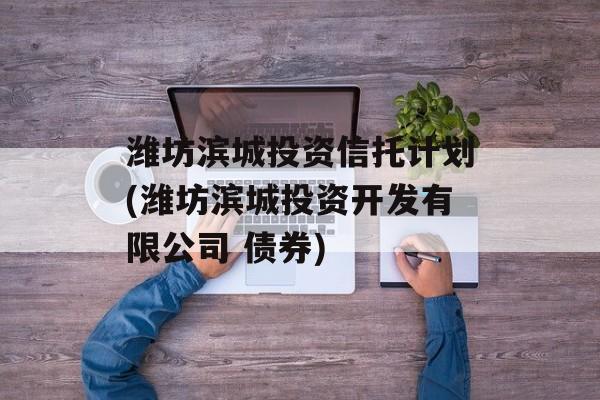 潍坊滨城投资信托计划(潍坊滨城投资开发有限公司 债券)