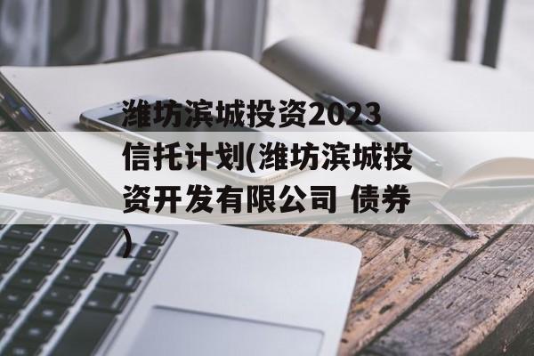 潍坊滨城投资2023信托计划(潍坊滨城投资开发有限公司 债券)