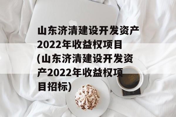 山东济清建设开发资产2022年收益权项目(山东济清建设开发资产2022年收益权项目招标)