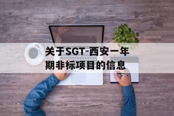 关于SGT-西安一年期非标项目的信息