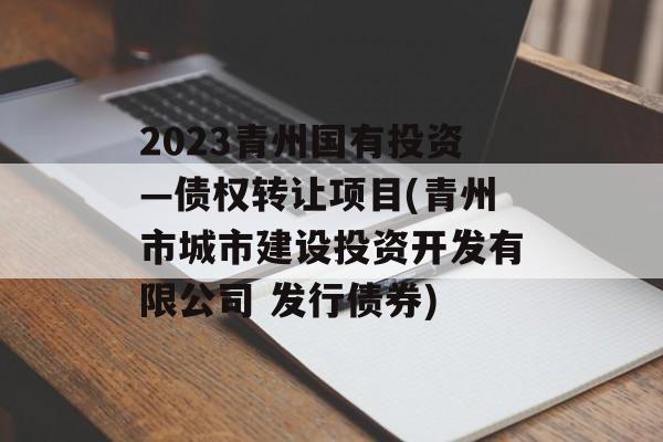 2023青州国有投资—债权转让项目(青州市城市建设投资开发有限公司 发行债券)