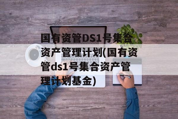 国有资管DS1号集合资产管理计划(国有资管ds1号集合资产管理计划基金)