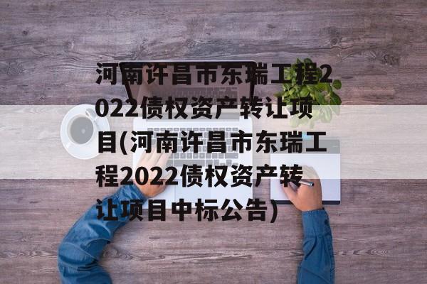 河南许昌市东瑞工程2022债权资产转让项目(河南许昌市东瑞工程2022债权资产转让项目中标公告)