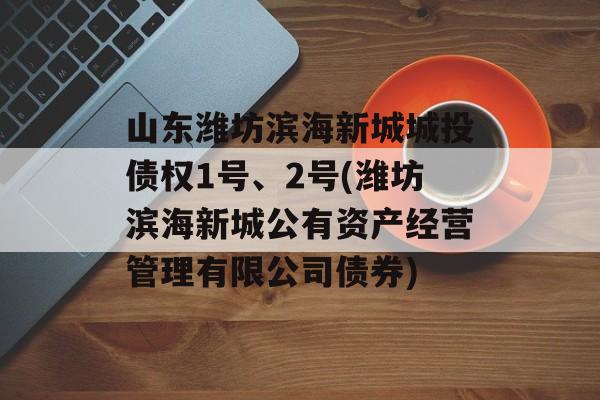 山东潍坊滨海新城城投债权1号、2号(潍坊滨海新城公有资产经营管理有限公司债券)