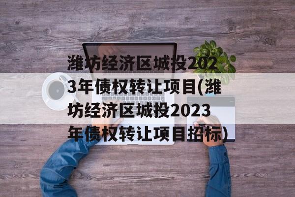 潍坊经济区城投2023年债权转让项目(潍坊经济区城投2023年债权转让项目招标)