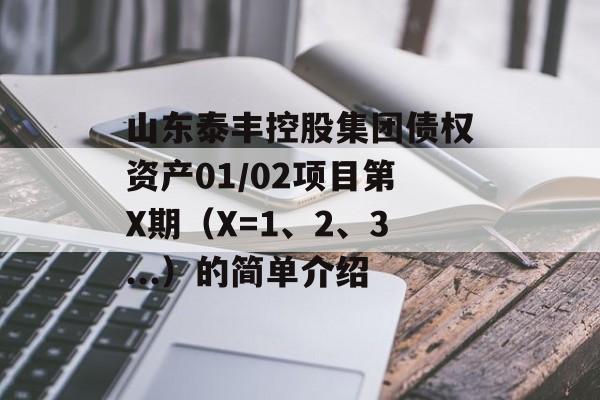 山东泰丰控股集团债权资产01/02项目第X期（X=1、2、3...）的简单介绍