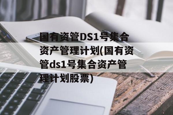 国有资管DS1号集合资产管理计划(国有资管ds1号集合资产管理计划股票)