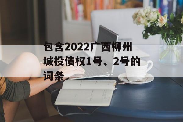 包含2022广西柳州城投债权1号、2号的词条