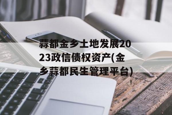 蒜都金乡土地发展2023政信债权资产(金乡蒜都民生管理平台)