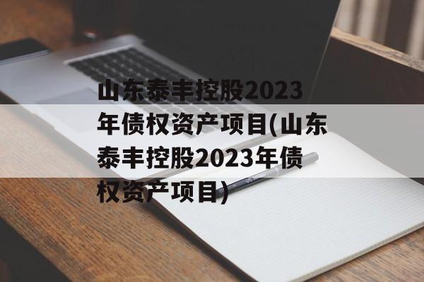 山东泰丰控股2023年债权资产项目(山东泰丰控股2023年债权资产项目)