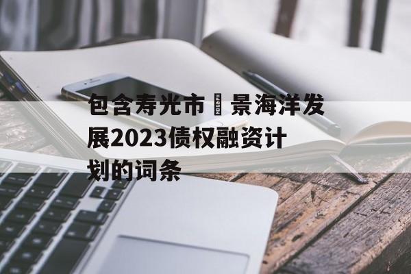 包含寿光市昇景海洋发展2023债权融资计划的词条