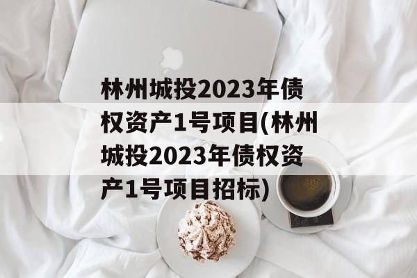 林州城投2023年债权资产1号项目(林州城投2023年债权资产1号项目招标)