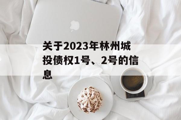 关于2023年林州城投债权1号、2号的信息