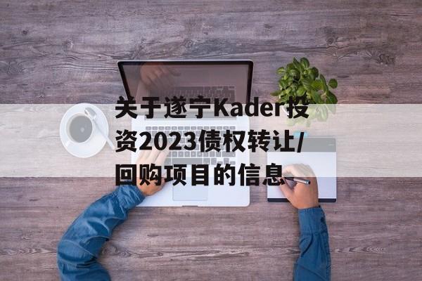 关于遂宁Kader投资2023债权转让/回购项目的信息