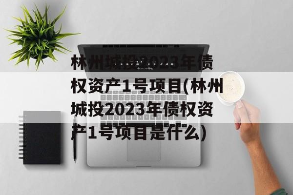 林州城投2023年债权资产1号项目(林州城投2023年债权资产1号项目是什么)