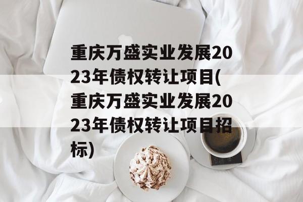 重庆万盛实业发展2023年债权转让项目(重庆万盛实业发展2023年债权转让项目招标)